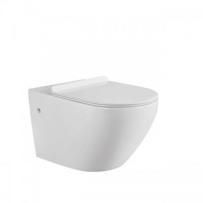 FT150 Bathroom Product High Quality Chinese Wall Hung Rimless Flush Wc Toilet