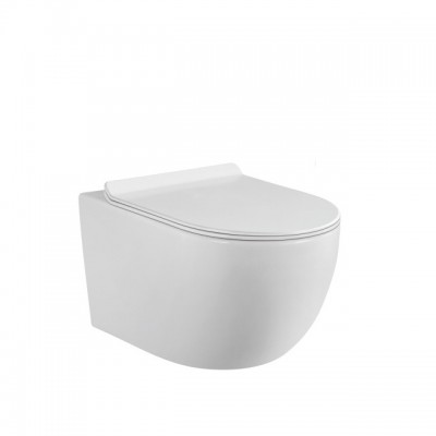 FT176 Ceramic Rimless Wall Hung Toilet Wall Mounted Toilet Bowl